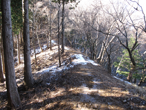 20181214hike (95)